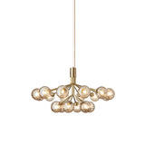 Apiales 18 Chandelier: Brushed Brass + Optic Gold + Gold