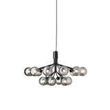 Apiales 18 Chandelier: Satin Black + Optic Smoked + Black