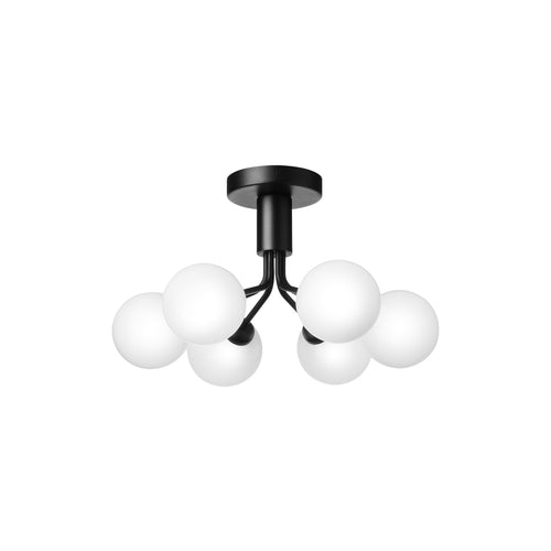 Apiales 6 Ceiling Lamp: Satin Black + Opal White