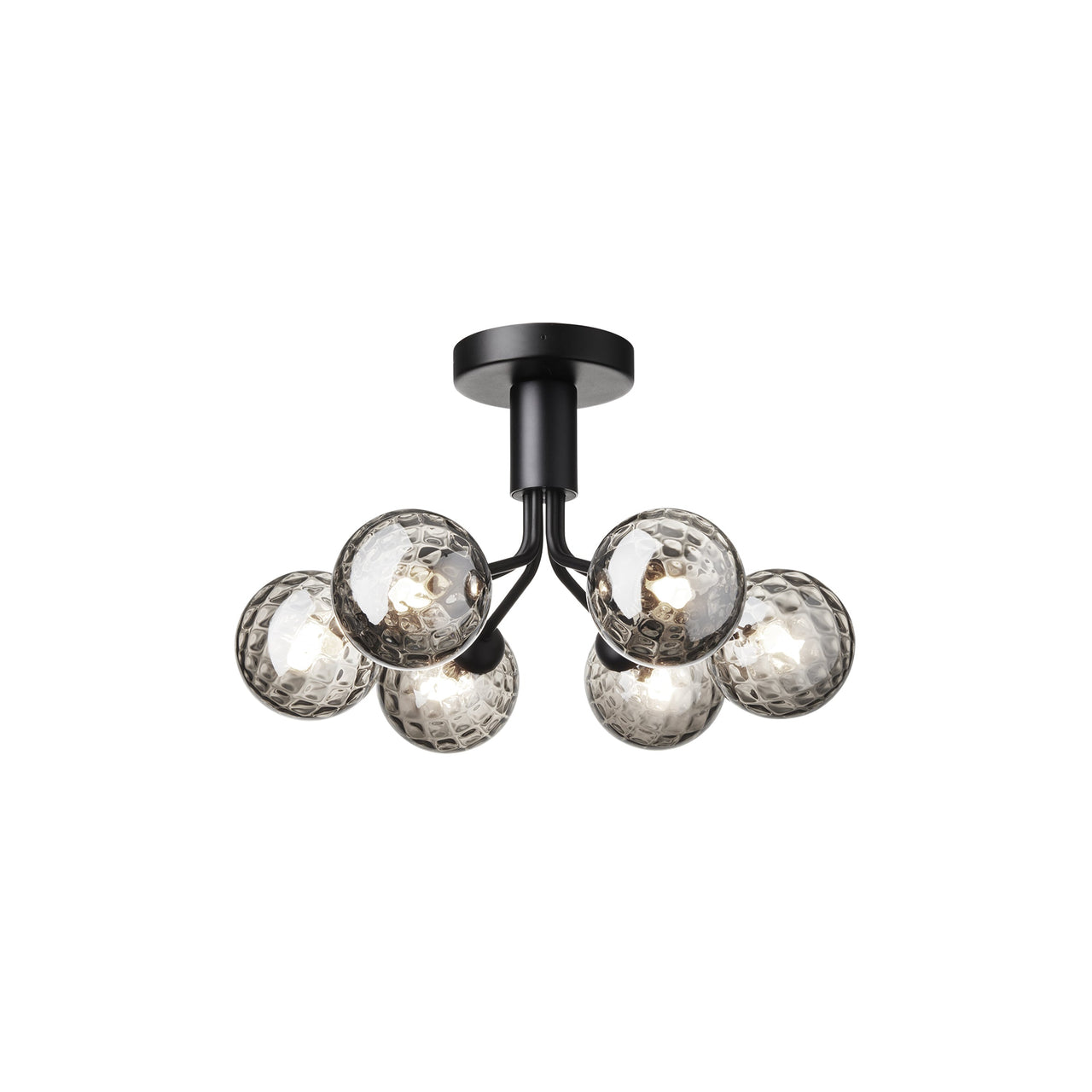 Apiales 6 Ceiling Lamp: Satin Black + Optic Smoked