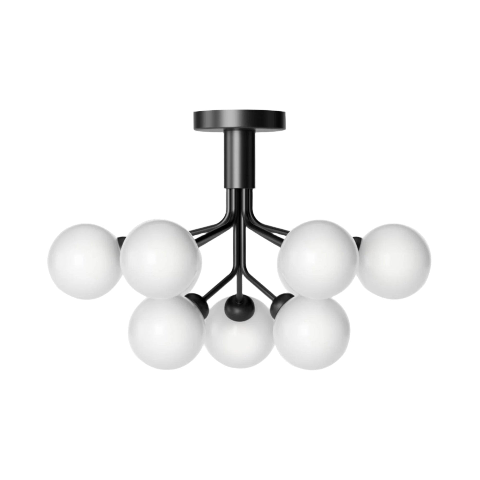 Apiales 9 Ceiling: Satin Black + Opal White