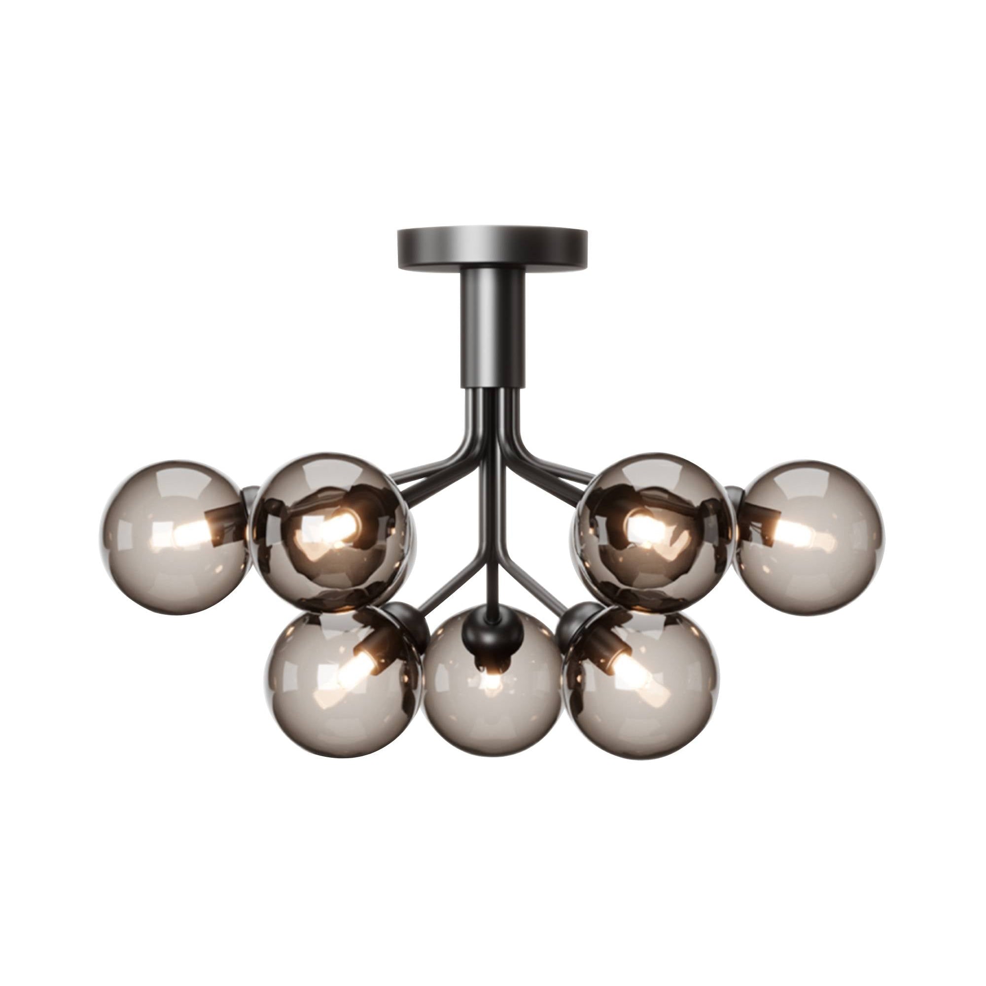 Apiales 9 Ceiling: Satin Black + Optic Smoked