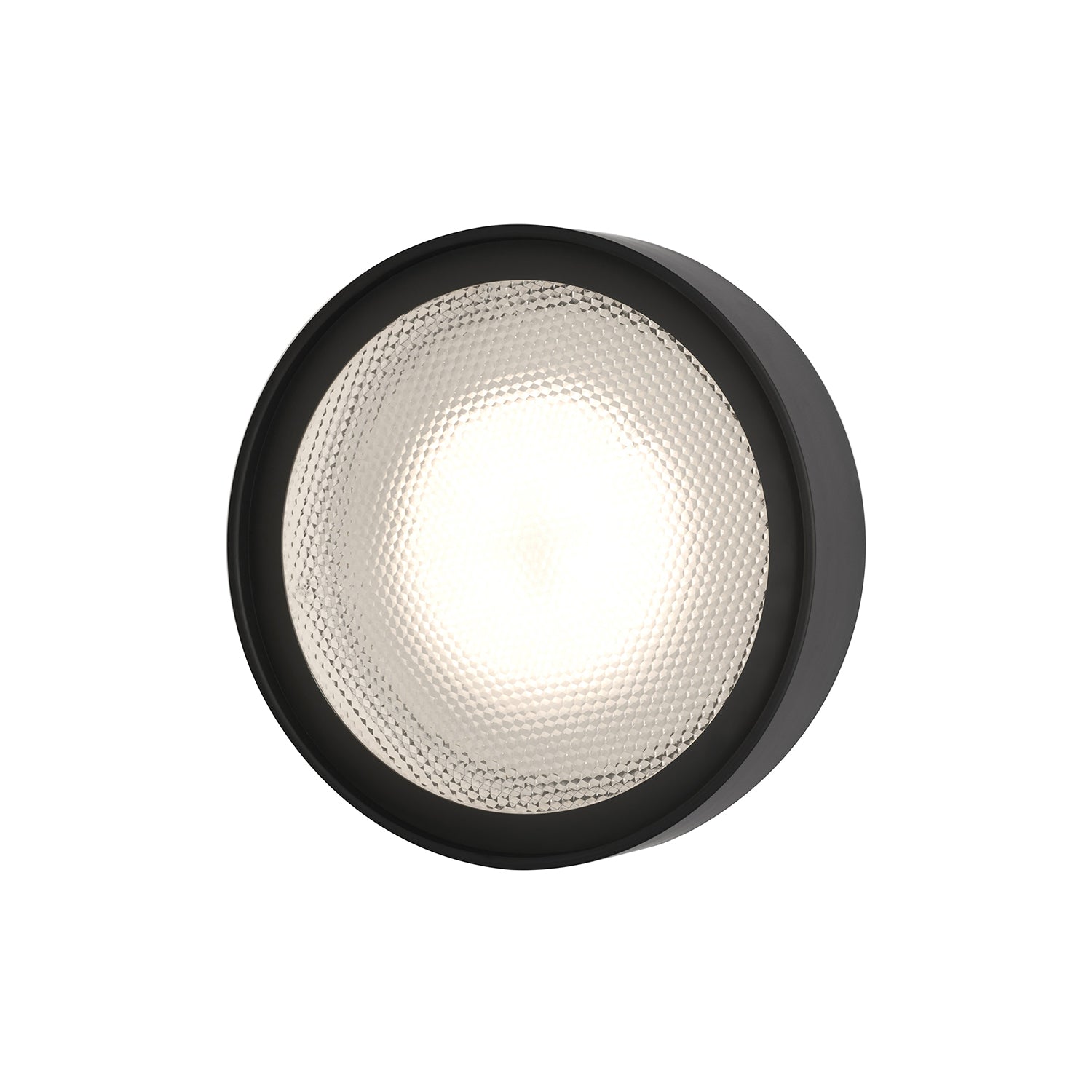 Berlin Wall Lamp: Outdoor + Large - 13.8