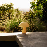 insitu