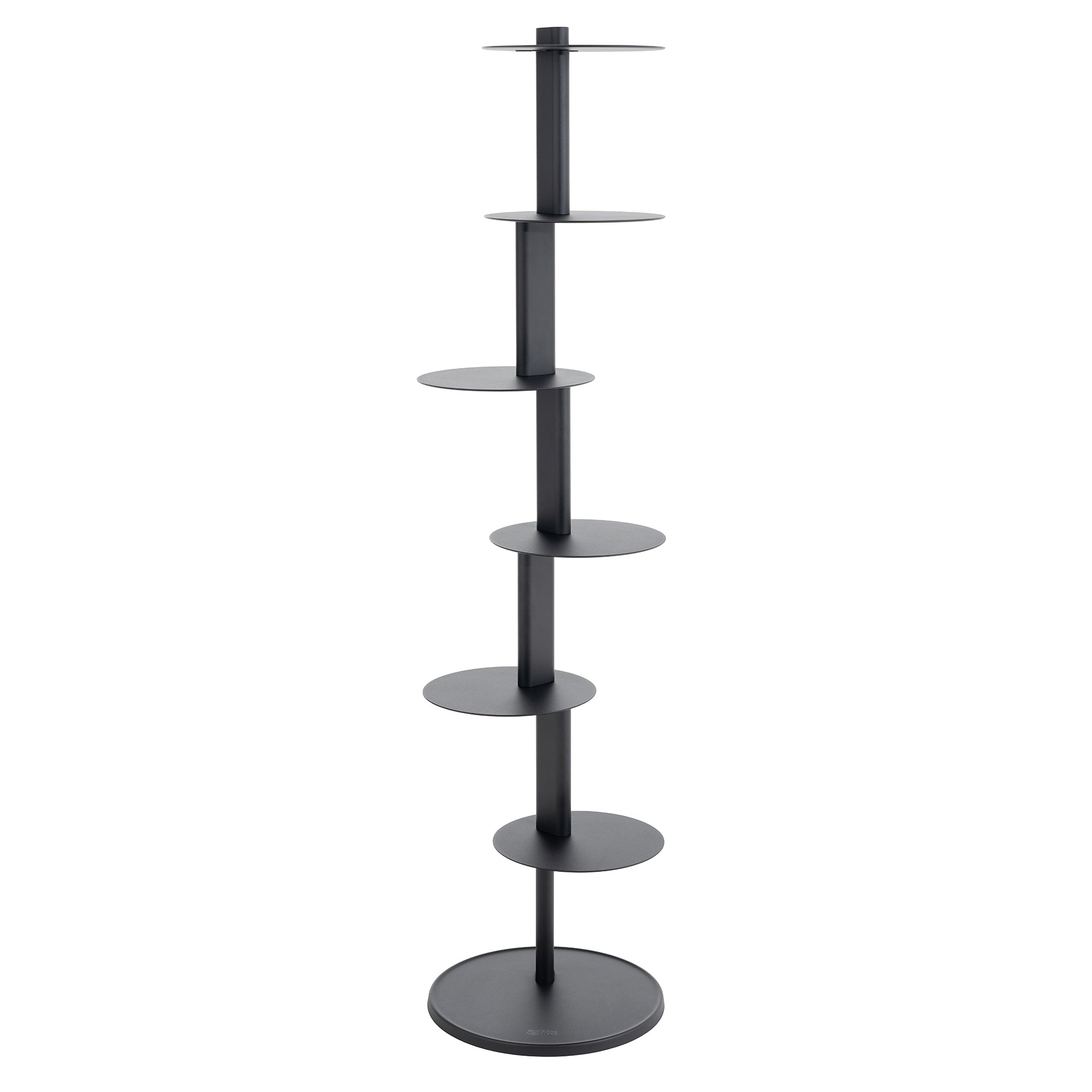 Plates Shelf