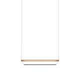 Tier 100 Pendant Light: Anodized Gold + Amethyst