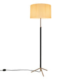 Pie de Salón Floor Lamp: G2 + Polished Brass + Natural