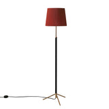 Pie de Salón Floor Lamp: G3 + Polished Brass + Red-Amber