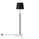 Pie de Salón Floor Lamp: G3 + Chrome-Plated + Green