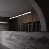 insitu