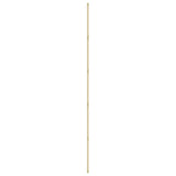 Pipeline 125.5 Ceiling/Wall Light: Brass + Brass