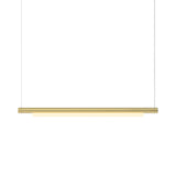 Pipeline 125 Pendant Light: Brass + Brass