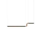 Pipeline CM2 Pendant Light: Black + Copper