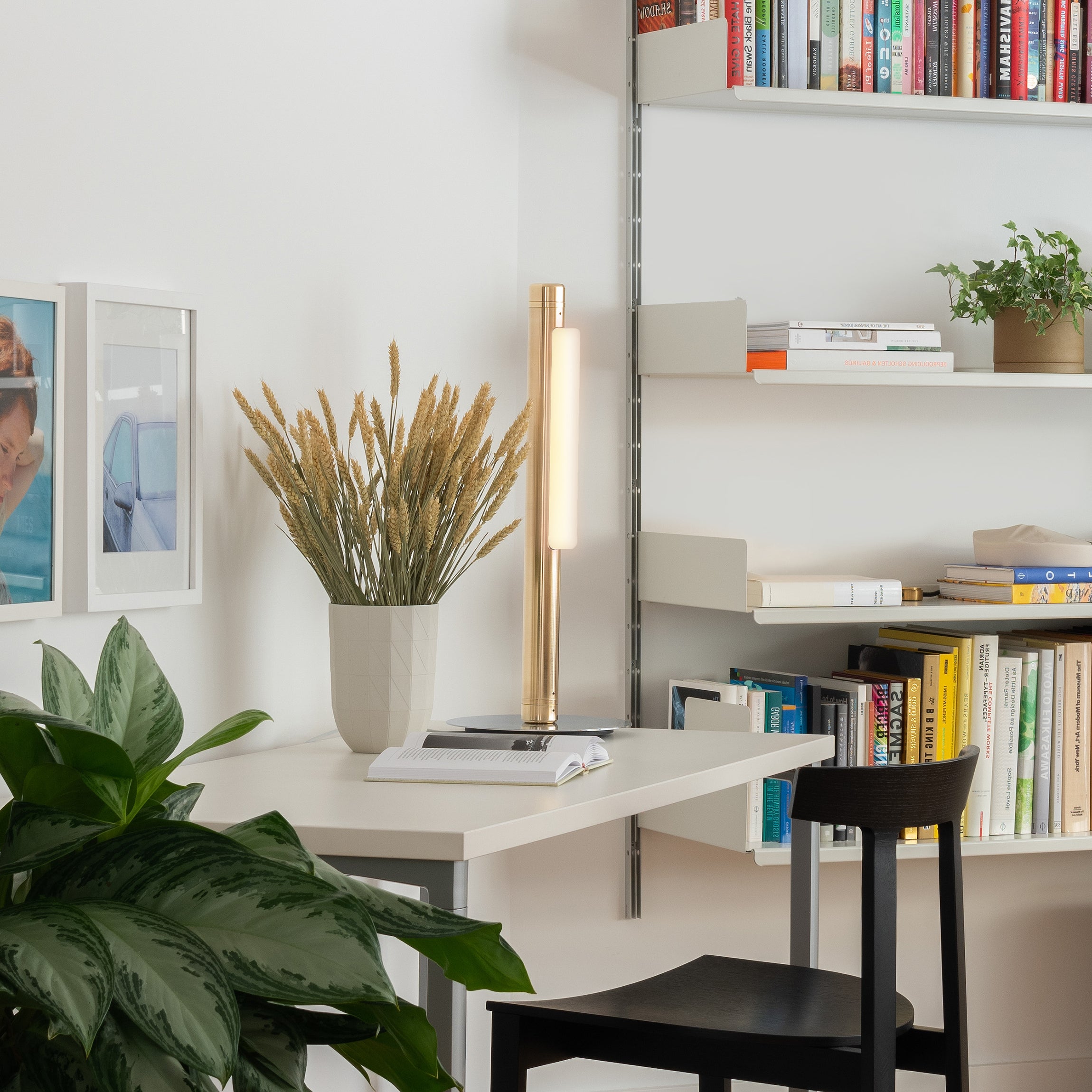 insitu