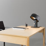 Pivot Table Lamp: LS
