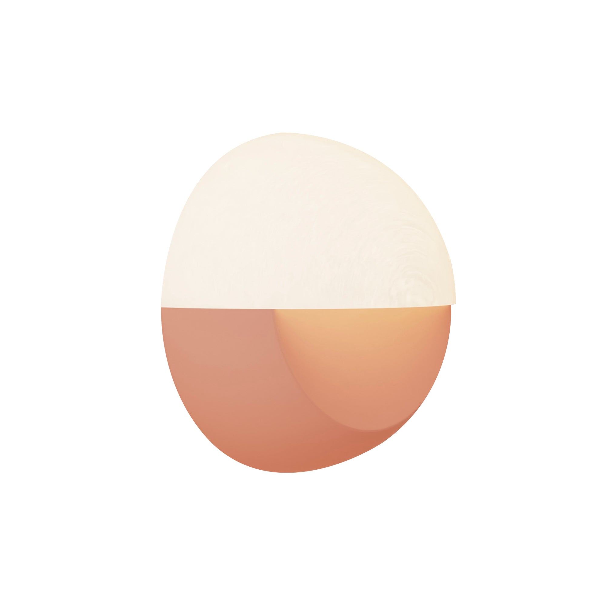 Proton Wall Sconce: Blossom