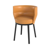 Sena Chair: Wood + Ebony Stained Oak