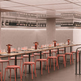 Quasar Portable Lamp - Quick Ship