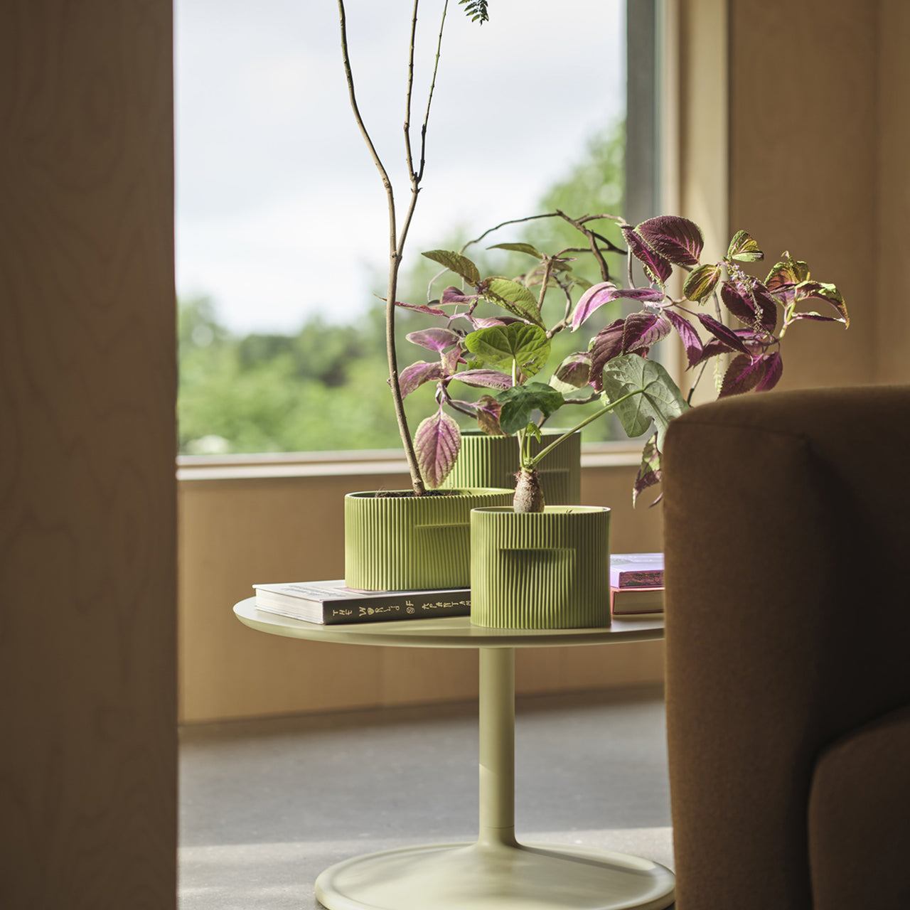 Ridge Planter: LS