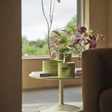 Ridge Planter: LS
