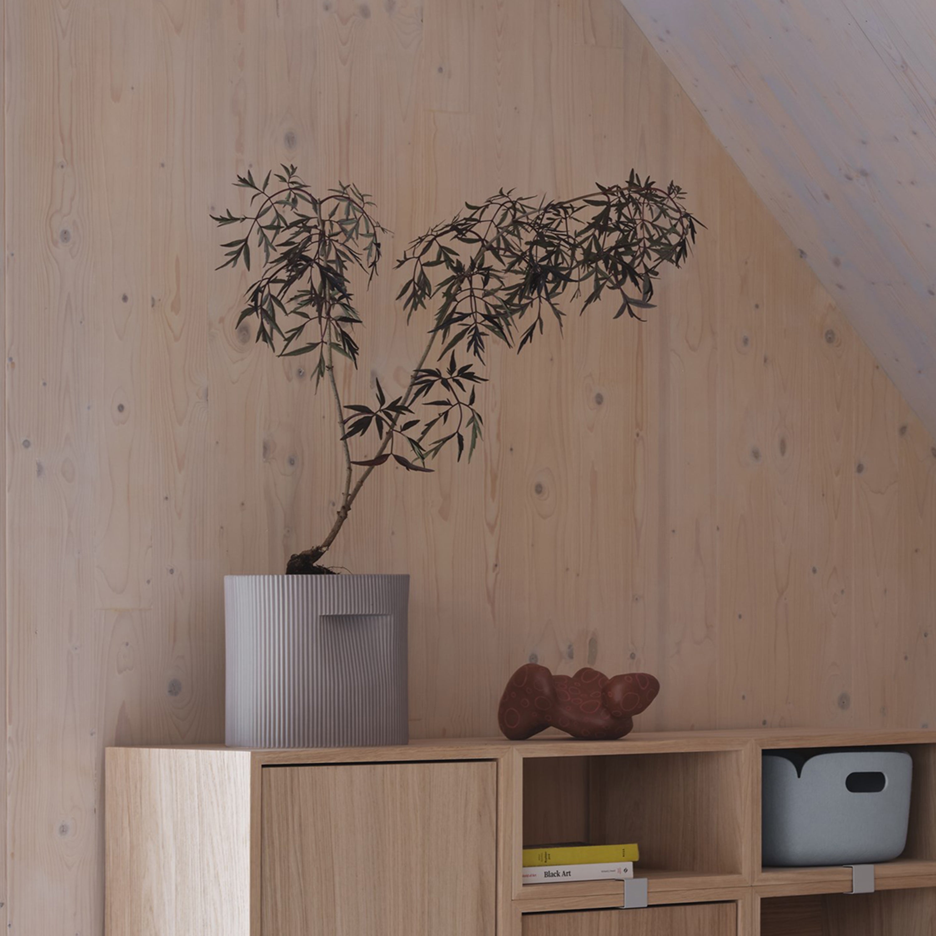 Ridge Planter: LS