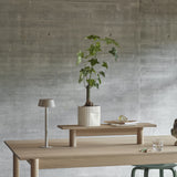 insitu