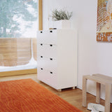 Snow A Storage Unit with Drawers