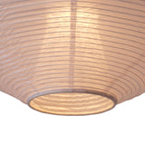 Rubin Paper Lantern: DI