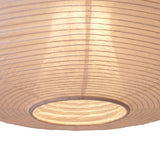 Rubin Paper Lantern: DI