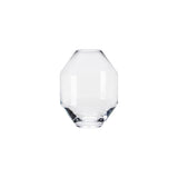 Hydro Vase: Glass - Small - 7.9