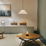 insitu
