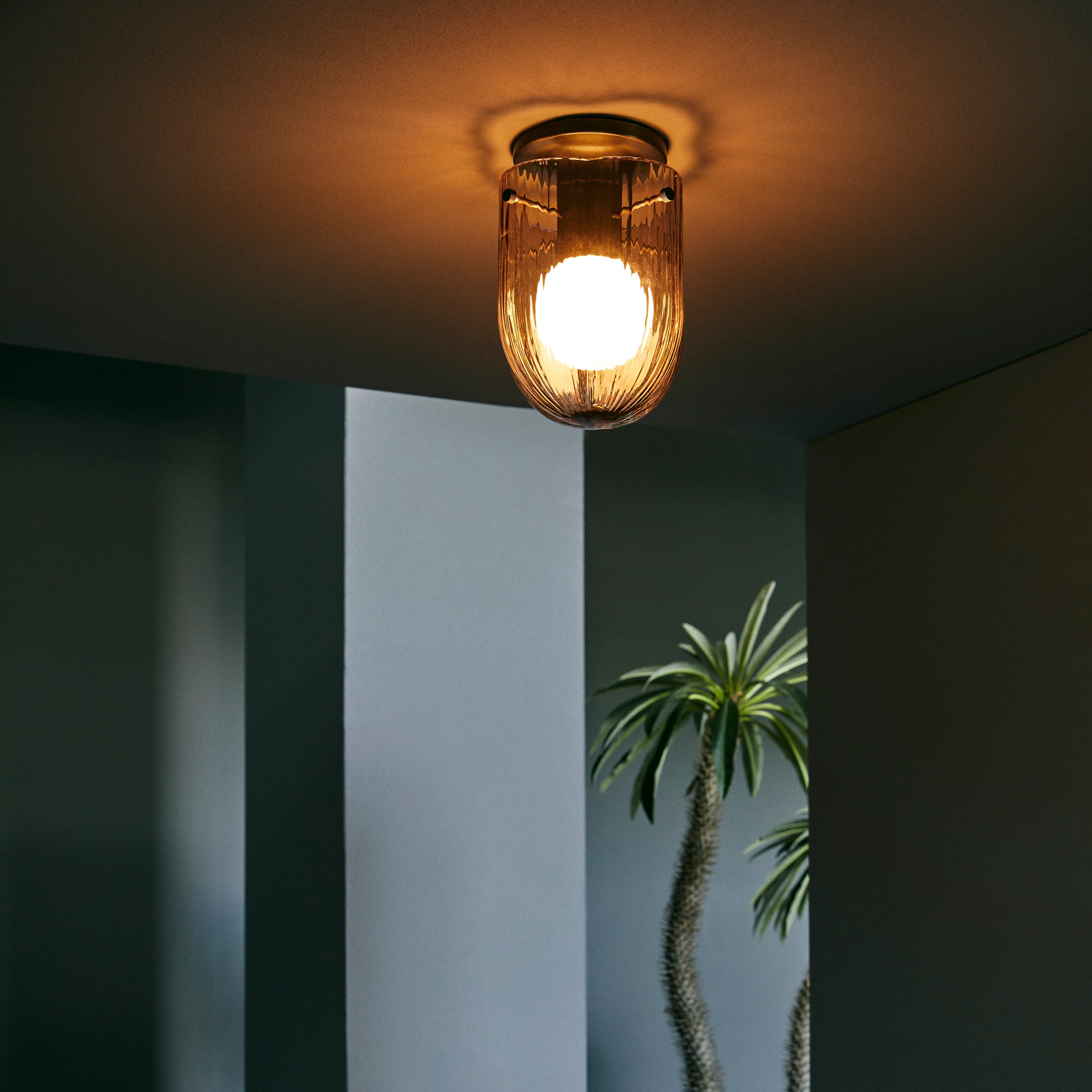 A lit ceiling light with a ribbed amber glass shade and round bulb, beside a spiky palm in a blue-grey room