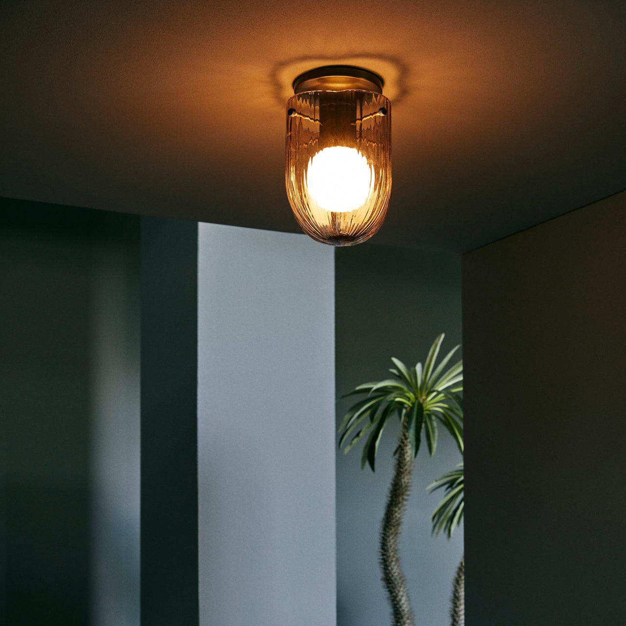 A lit ceiling light with a ribbed amber glass shade and round bulb, beside a spiky palm in a blue-grey room