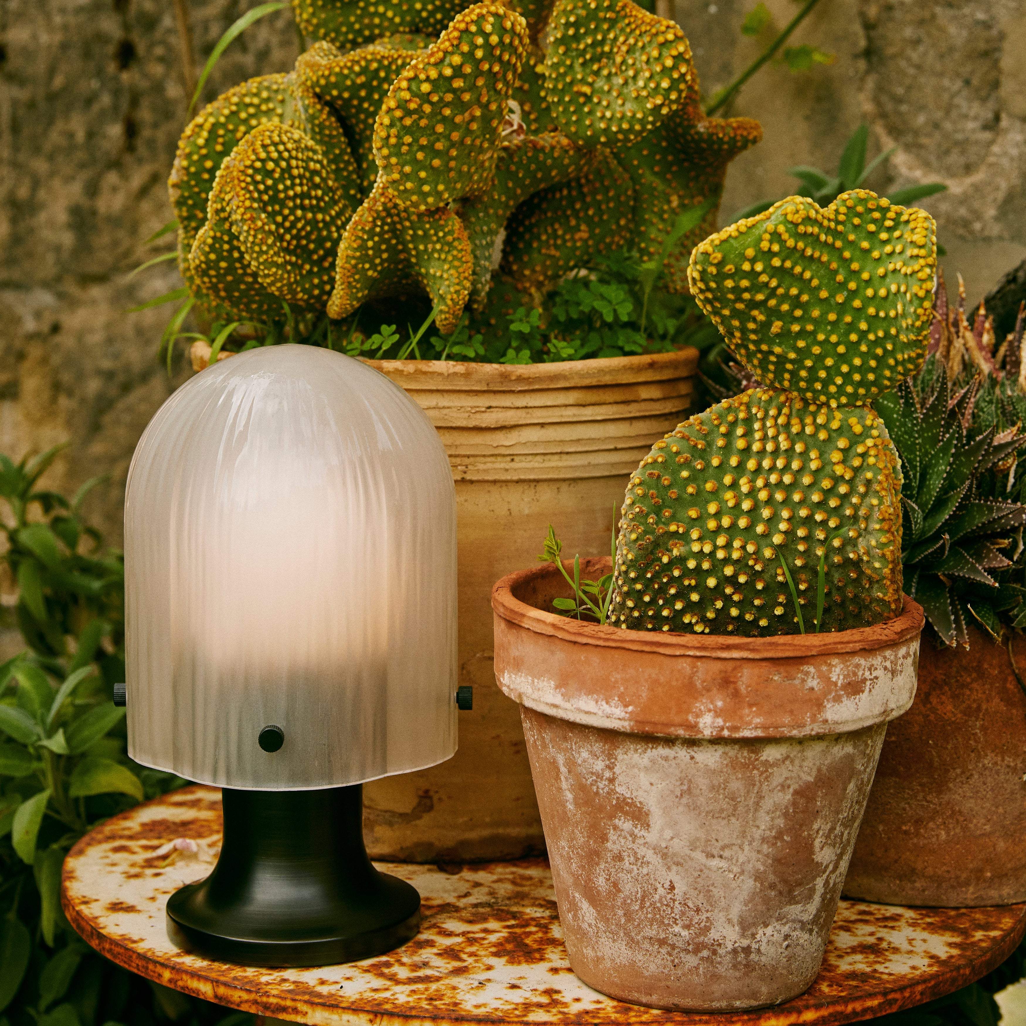 A glowing dome lamp with ribbed frosted glass on a black base, among potted cacti outdoors