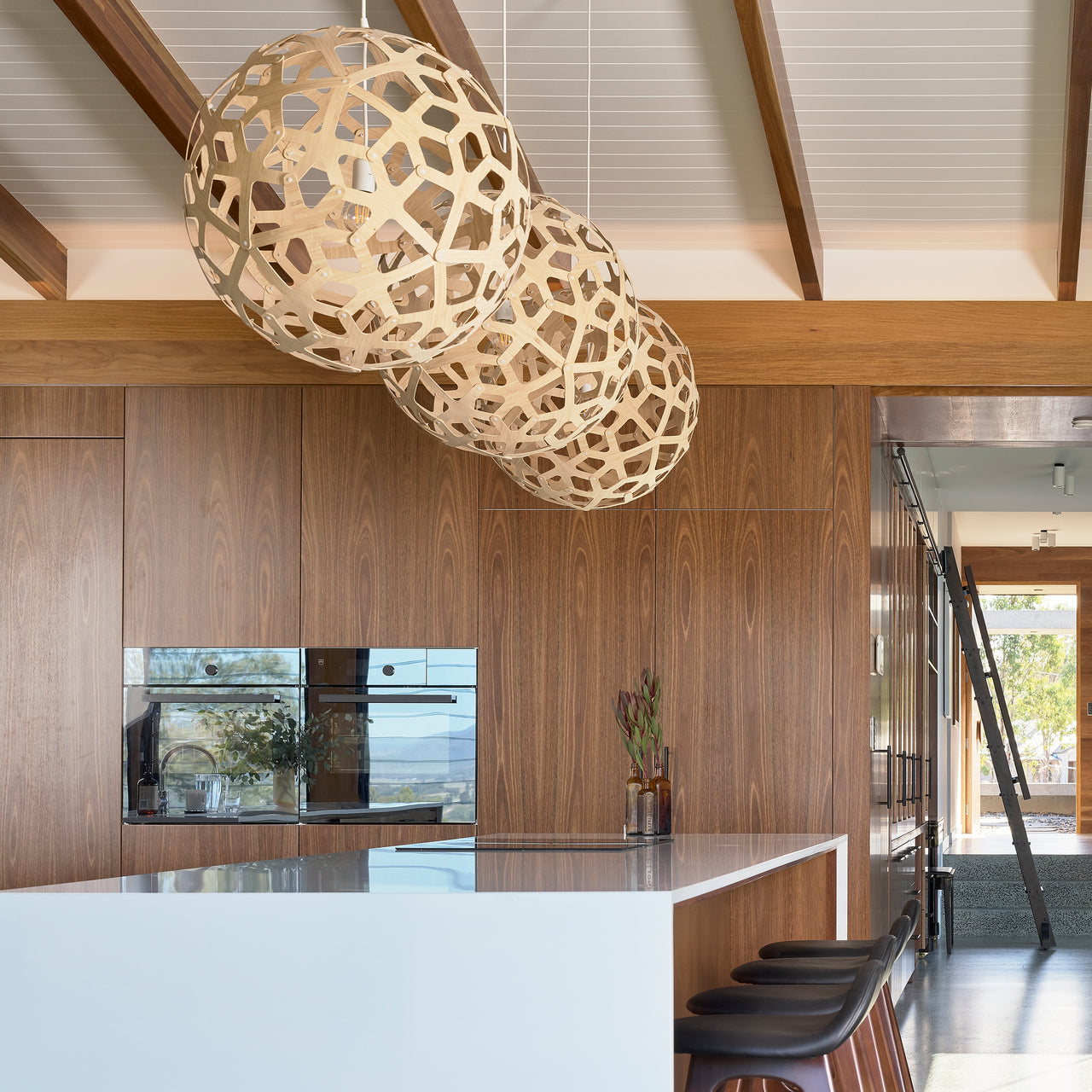 Coral Pendant Light: Medium + LS