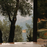insitu