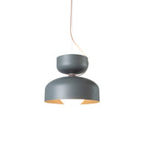 Spotlight Volumes Pendant Light: E+B + Avocado