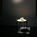 Slow Folding Tray Table