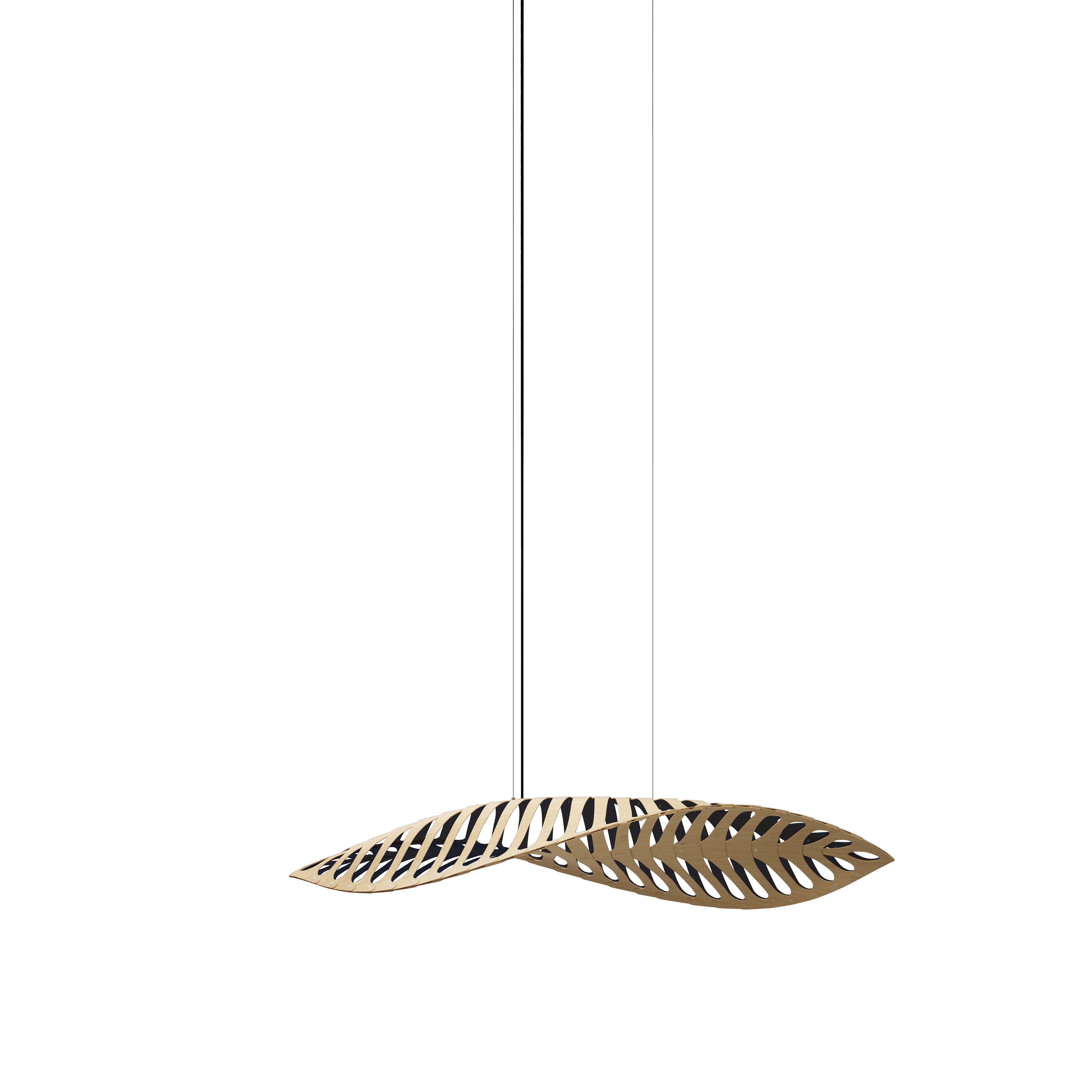 Navicula Pendant Light: Small - 56.7