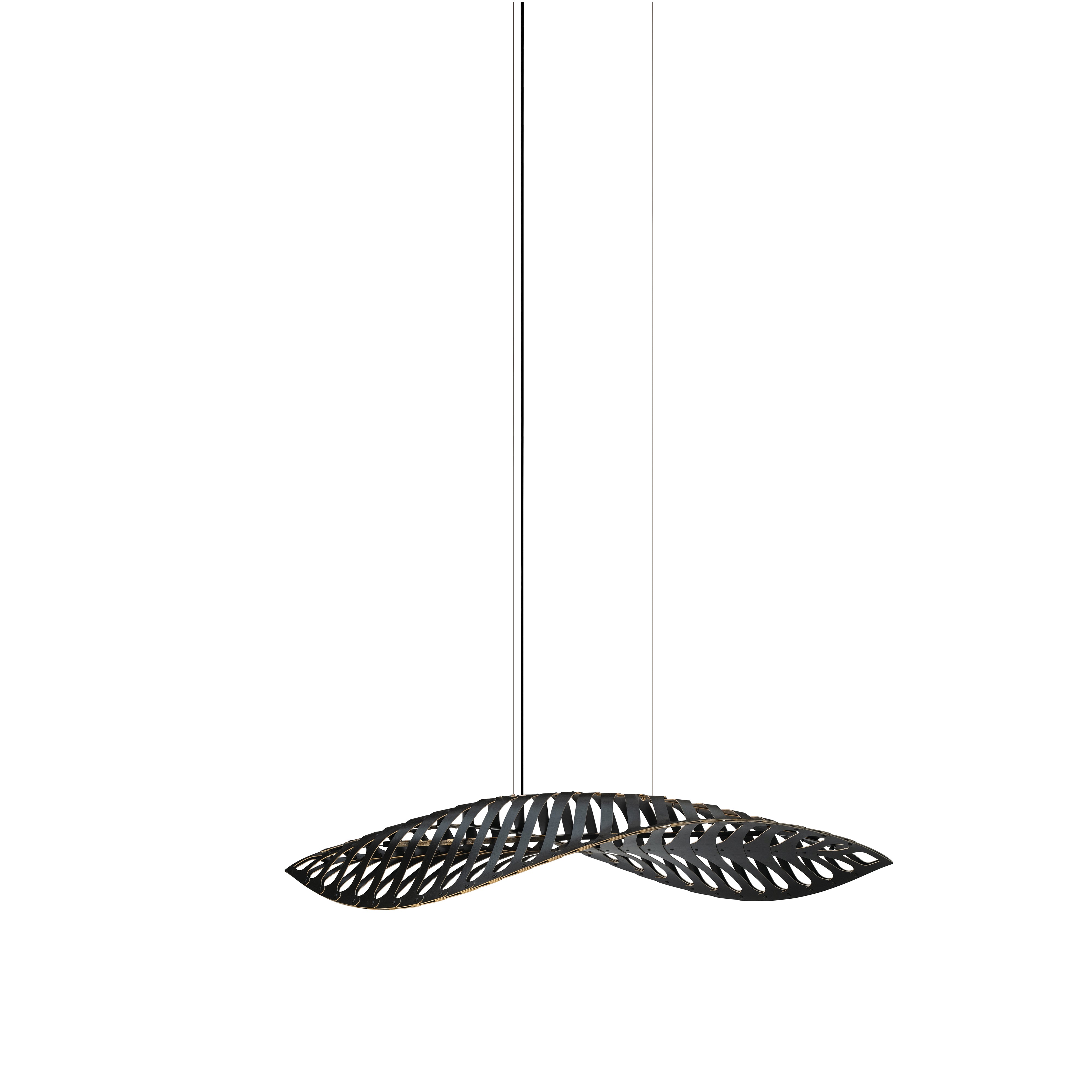 Navicula Pendant Light: Small - 56.7