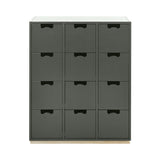 Snow B Storage Unit with Drawers: Green Khaki + Snow B + Natural Oak