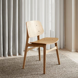 insitu