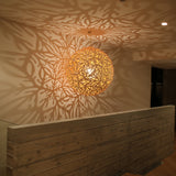 insitu