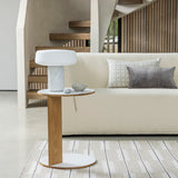 Solid Rechargeable Table Lamp: LS