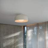 Spotlight Volumes Ceiling/Wall Light: LS