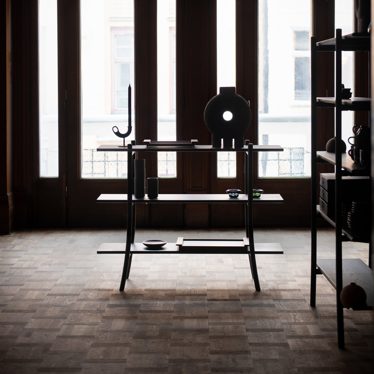 Skyladder Shelves