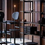 Skyladder Shelves