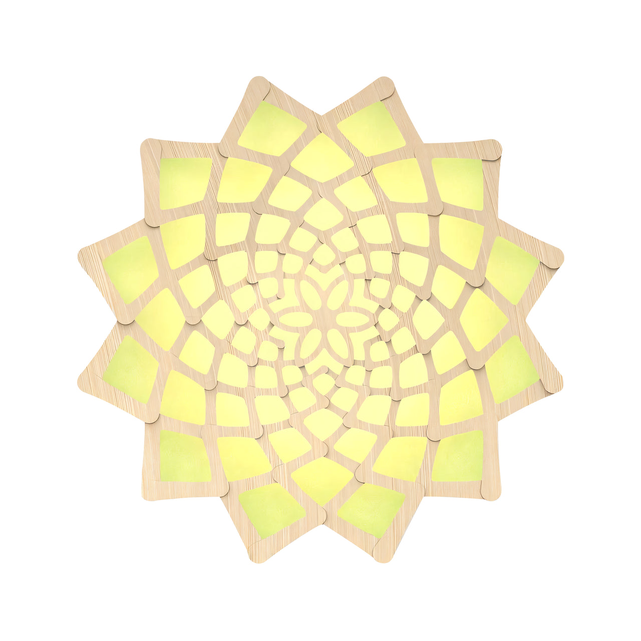 Sunflower Wall Light: Large + Bamboo + Lime