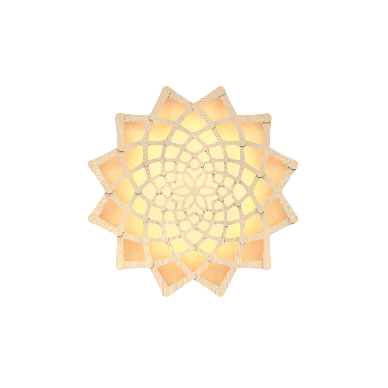Sunflower Wall Light: Small + Orange