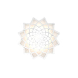 Sunflower Wall Light: Small + White